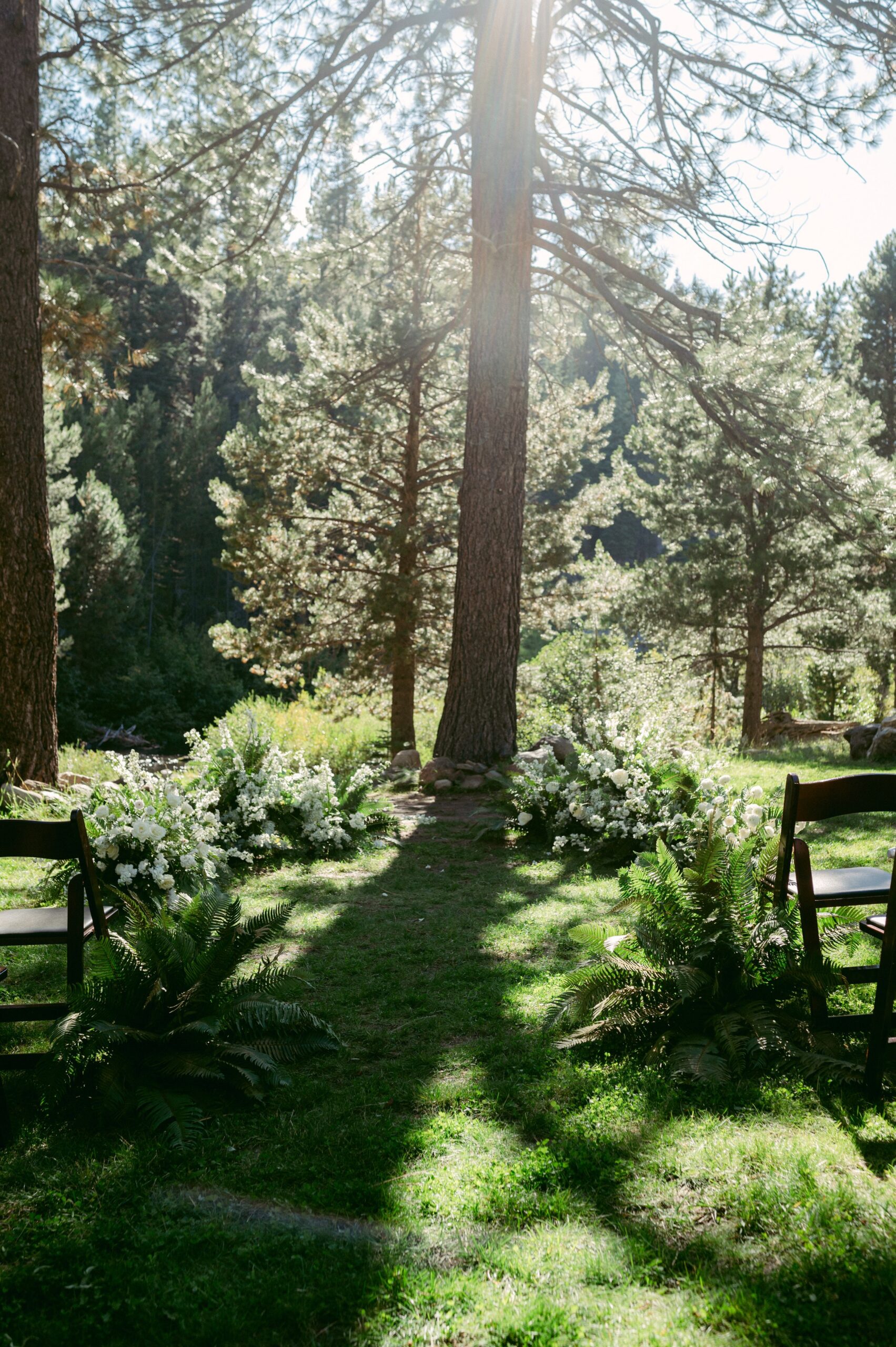 Dancing-Pines-Tahoe-Wedding-160.jpg