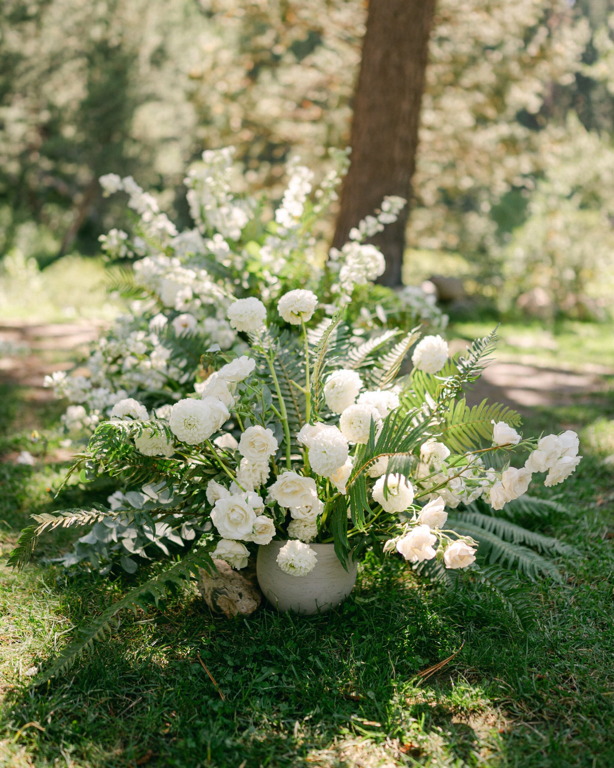 Dancing-Pines-Tahoe-Wedding-92.jpg